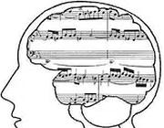 Il canto stimola l'evoluzione del cervello