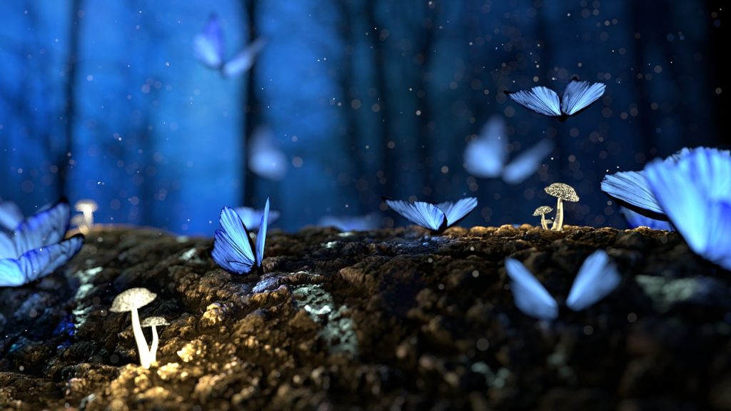 Poesia sulla Farfalla